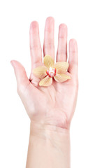 orchid on woman open hand