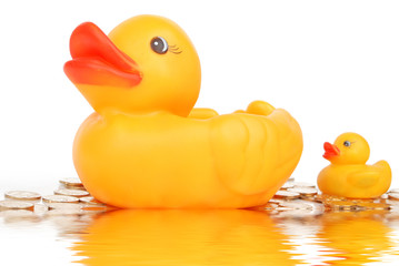 rubber duck on water