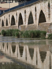 Puente románico en Zamora sobre el río Duero
