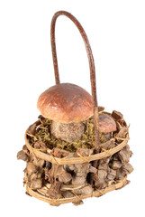 Basket with two brown mushrooms