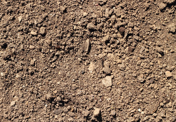 Garden soil close up natural texture background.