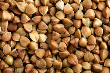 Buckwheat background