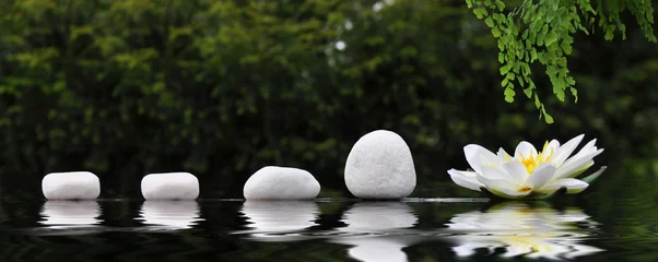 Foto auf Acrylglas Wasserlilien Steinreihe mit Seerose
