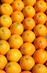 Oranges