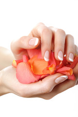 Beautiful hands with perfect nail french manicure and petals