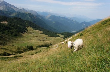 Fototapeta premium Appealing point of view in Pyrenean's mountain