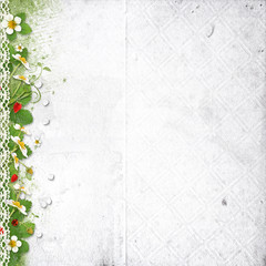 white background with strawberry