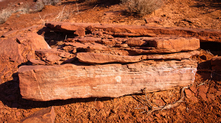 Navajo Tribal Park