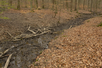 fast trockener Bachlauf