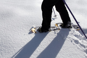 Randonn&eacute;e en raquette