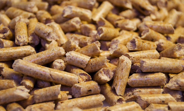 wood pellets close-up