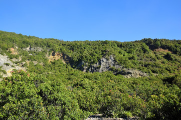 Fototapeta na wymiar Zielona Góra Papandayan Obszar