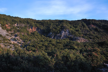 Fototapeta na wymiar Zielona Góra Papandayan Obszar