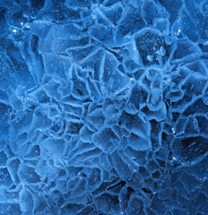 Obraz premium ICE FLOWERS