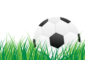 Background - Soccer "Ball on Grass"