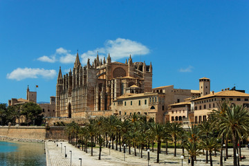 Palma