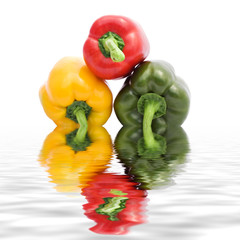 Juicy Bell Peppers on water