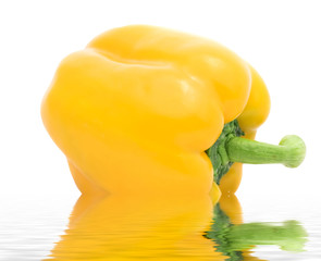 Yellow Bell Pepper floating on water