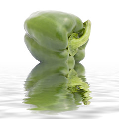 Juicy green bell pepper on water