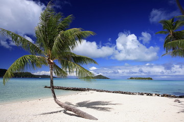 motu dans lagon de bora