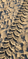 Tyre track in wet sand