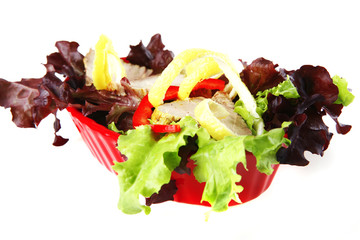served tuna with vegetables