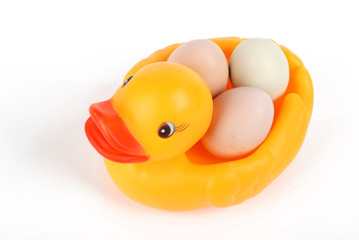 duckling with egg