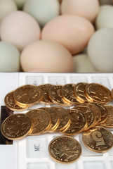 sale eggs