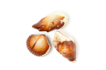 chocolate seashells