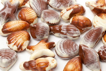 chocolate seashells