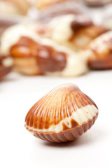 chocolate seashells
