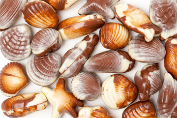 chocolate seashells