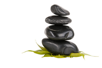 Dark stones and tree leaflets