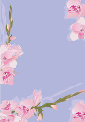 pink gladiolus flowers decoration