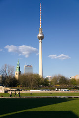 Obraz premium Berliner Fernsehturm