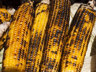 Cobs of corn © Tatagatta