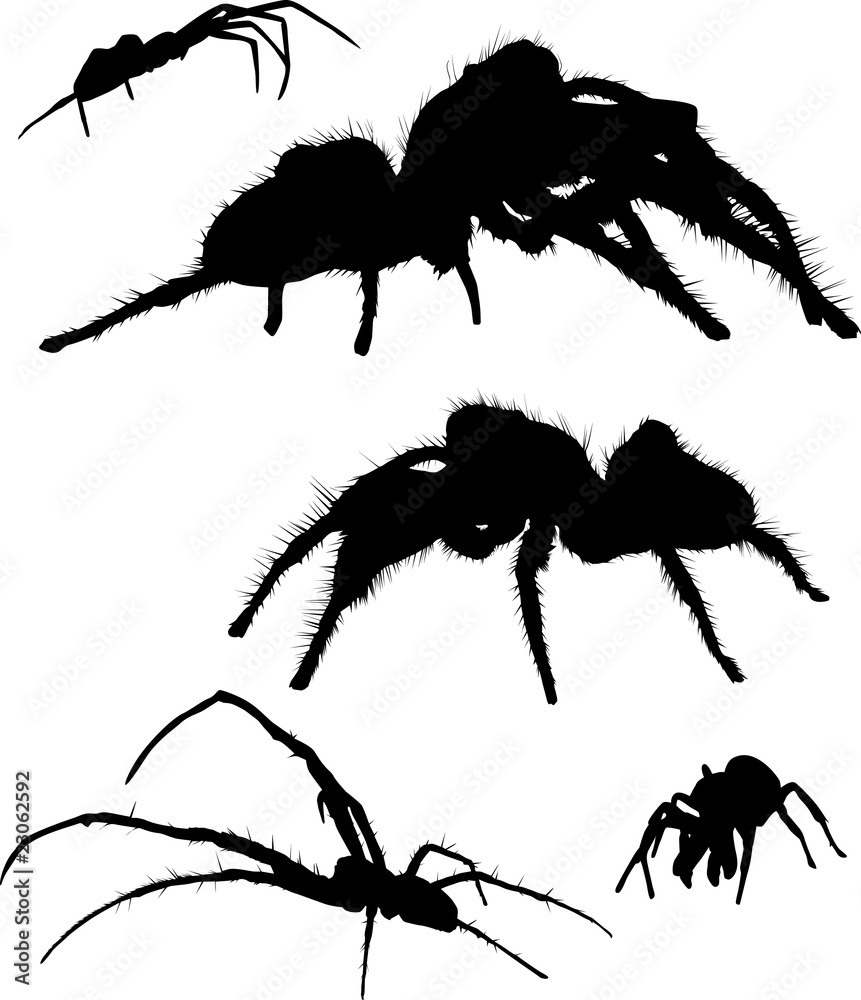 Poster set of five spider silhouettes