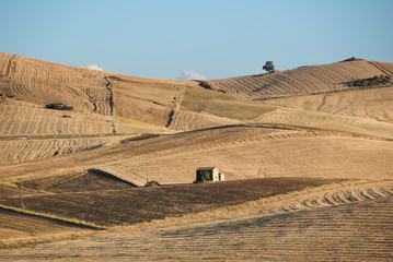 Obraz premium Summer Countryside