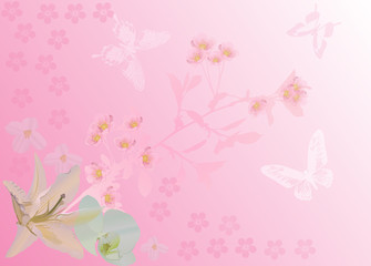 background with cherry flowers and butterfly
