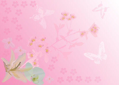 background with cherry flowers and butterfly