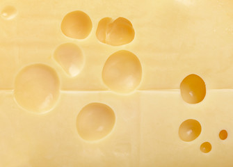 Sheese bakground
