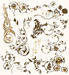 Set of design floral elements