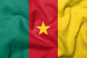3D Flag of Cameroon