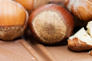 Chocolate and hazelnuts