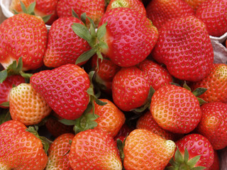 Erdbeeren