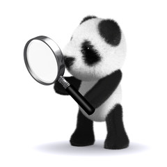 3d Panda uses magnifying glass © Steve Young