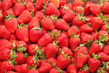 fresh strawberry