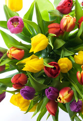 Looking down on colorful tulips full frame