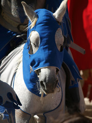 Arezzo -  annual medieval festival called the Saracen Joust