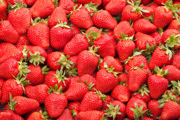 fresh strawberry